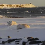 別荘 Ekker Island Arctic