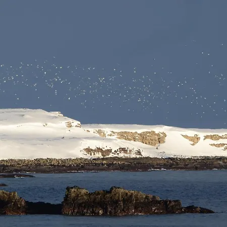Vakantiehuis Ekker Island Arctic