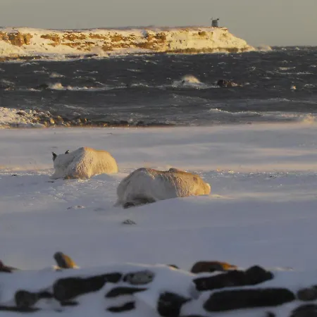 Feriehus Ekker Island Arctic