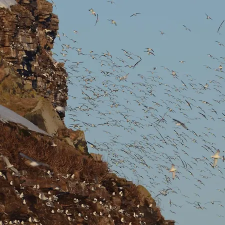 Ekker Island Arctic Vakantiehuis *