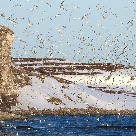 Holiday home Ekker Island Arctic *