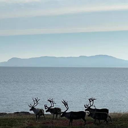 Ekker Island Arctic