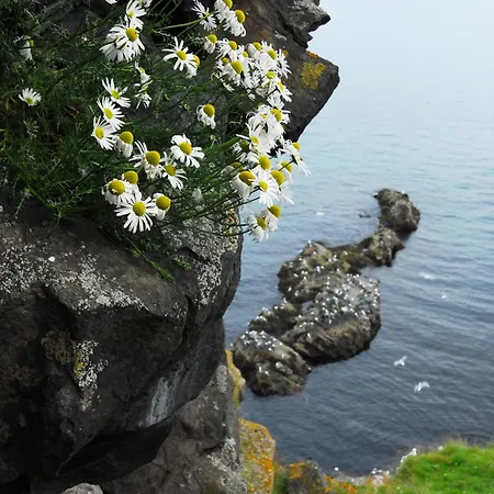 Ekker Island Arctic Holiday home Vadso