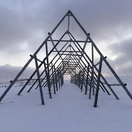 Ekker Island Arctic *