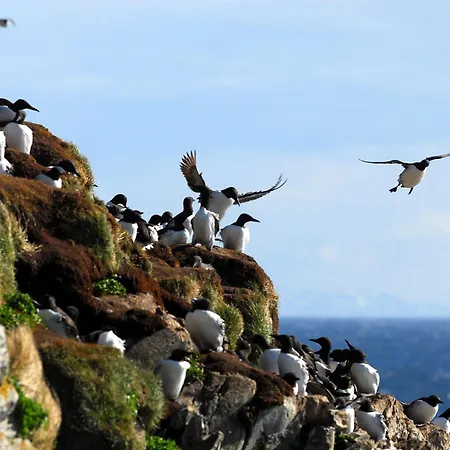 Ekker Island Arctic Vakantiehuis