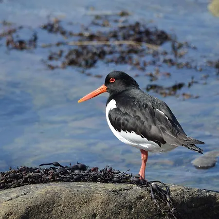 Vakantiehuis Ekker Island Arctic Vadsø