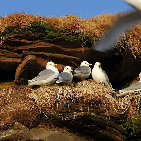 Ekker Island Arctic Vadso