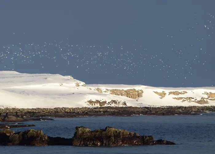 Nyaraló Ekker Island Arctic