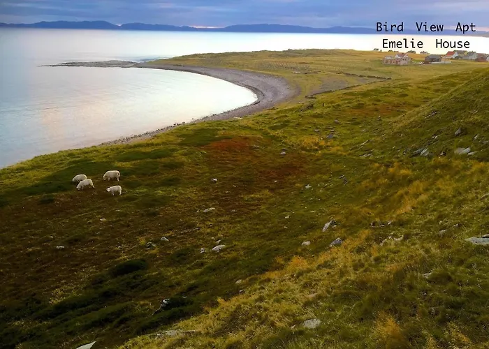 Nyaraló Ekker Island Arctic *
