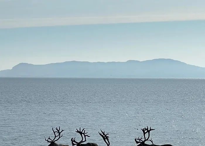 Ekker Island Arctic