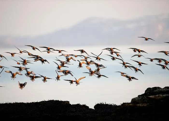 Nyaraló Ekker Island Arctic