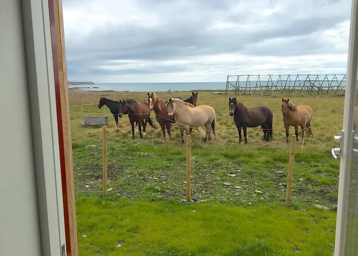 Ekker Island Arctic Vadsø