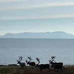 Ekker Island Arctic