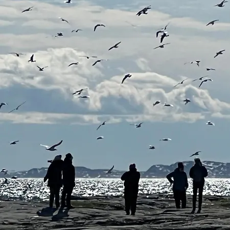 Feriehus Ekker Island Arctic *