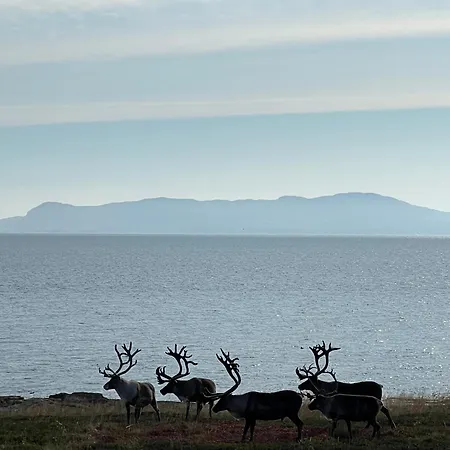 Ekker Island Arctic