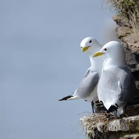 Ekker Island Arctic Vakantiehuis *