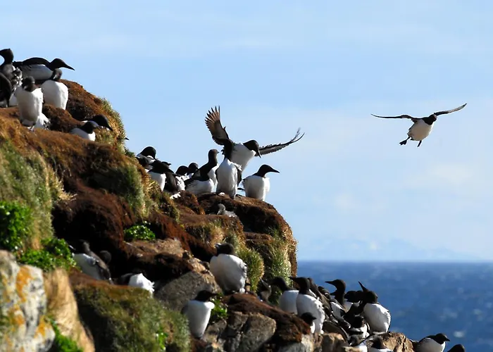 Ekker Island Arctic Vakantiehuis